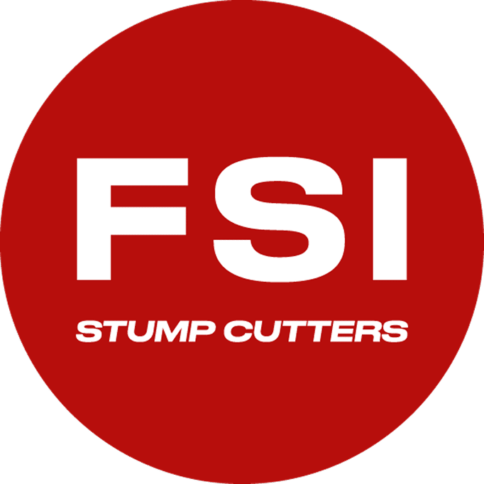 logo-fsi
