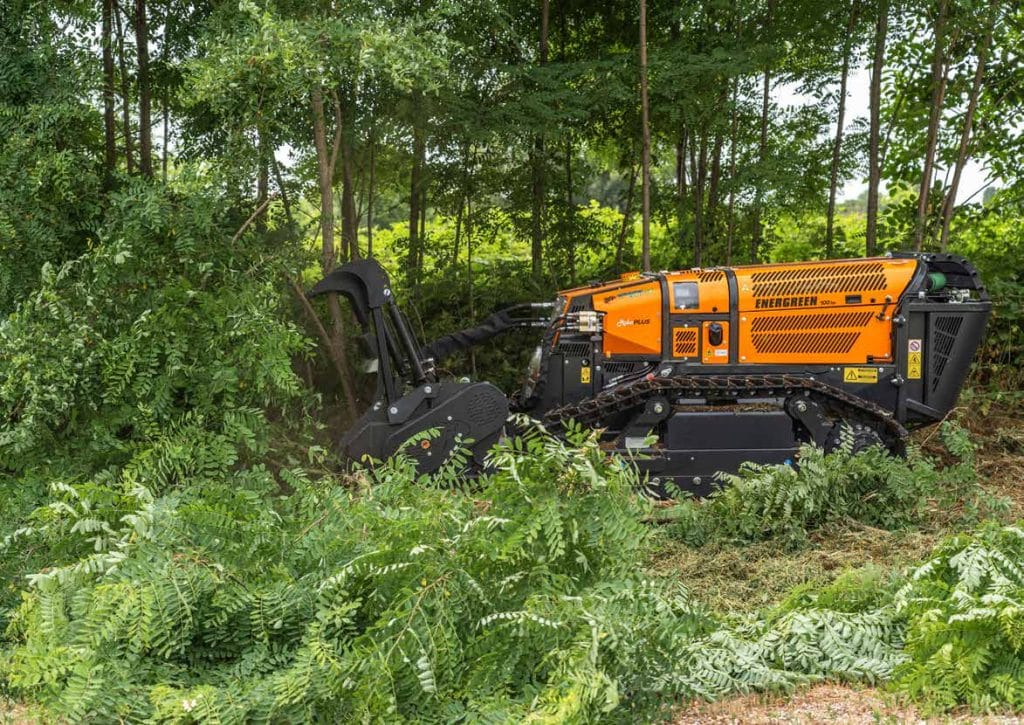 Energreen RoboPlus clearing thick woodland vegetation with its forestry mulcher