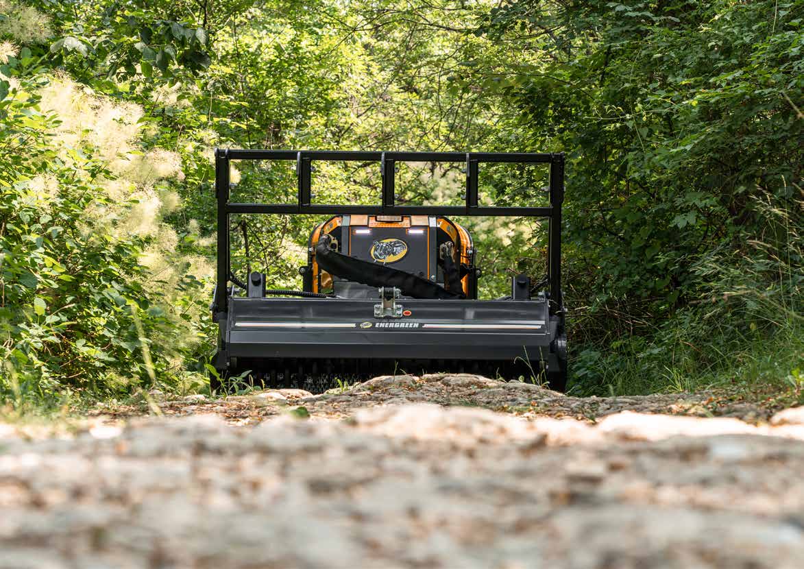 Energreen RoboPlus tracked robot fitted with forestry mulcher head for heavy vegetation