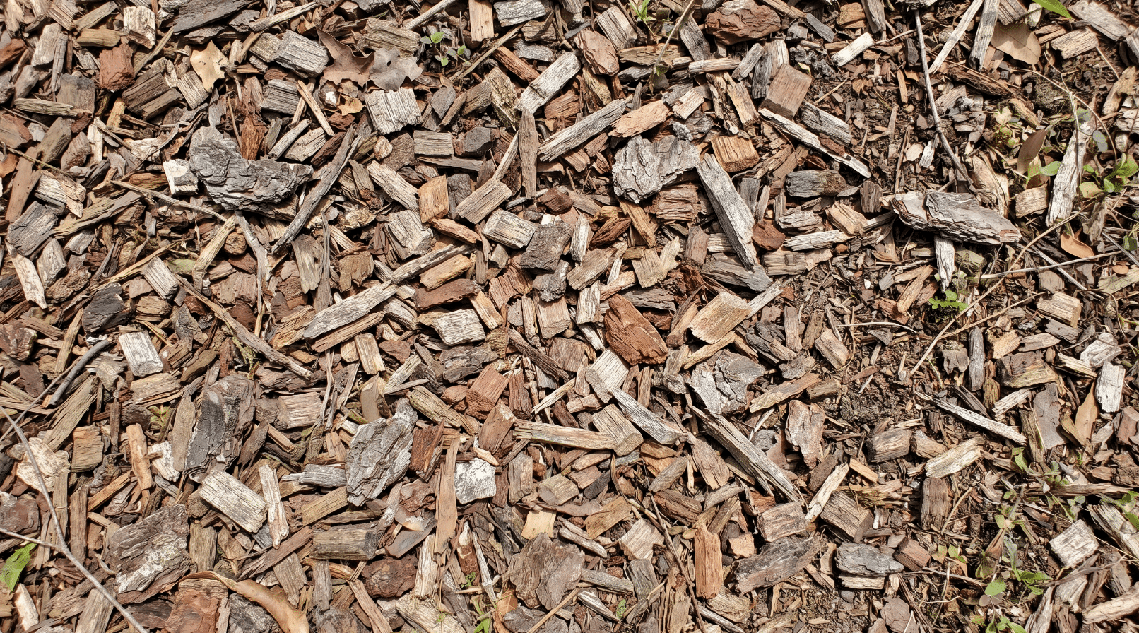 wood chips mulch